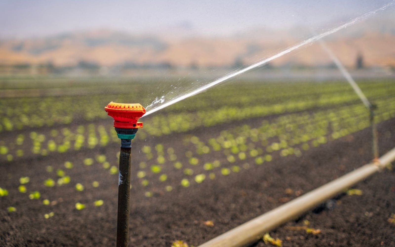 Software para cooperativas agrarias y comunidades de regantes